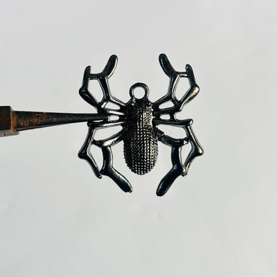 BLACK SPIDER