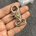 Big silver lobster